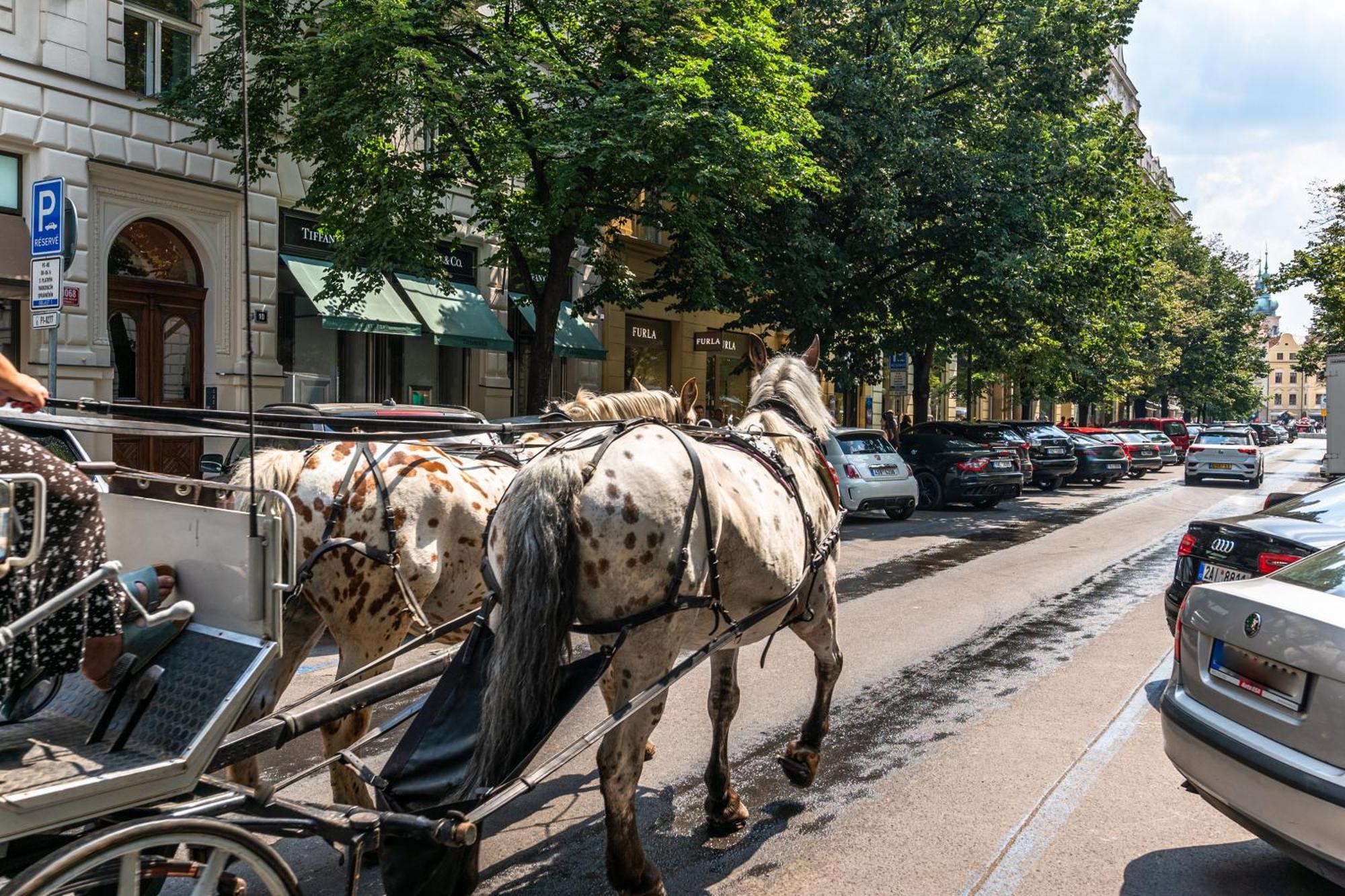 Wishlist Prague Residences - Old Town Dlouha Bagian luar foto